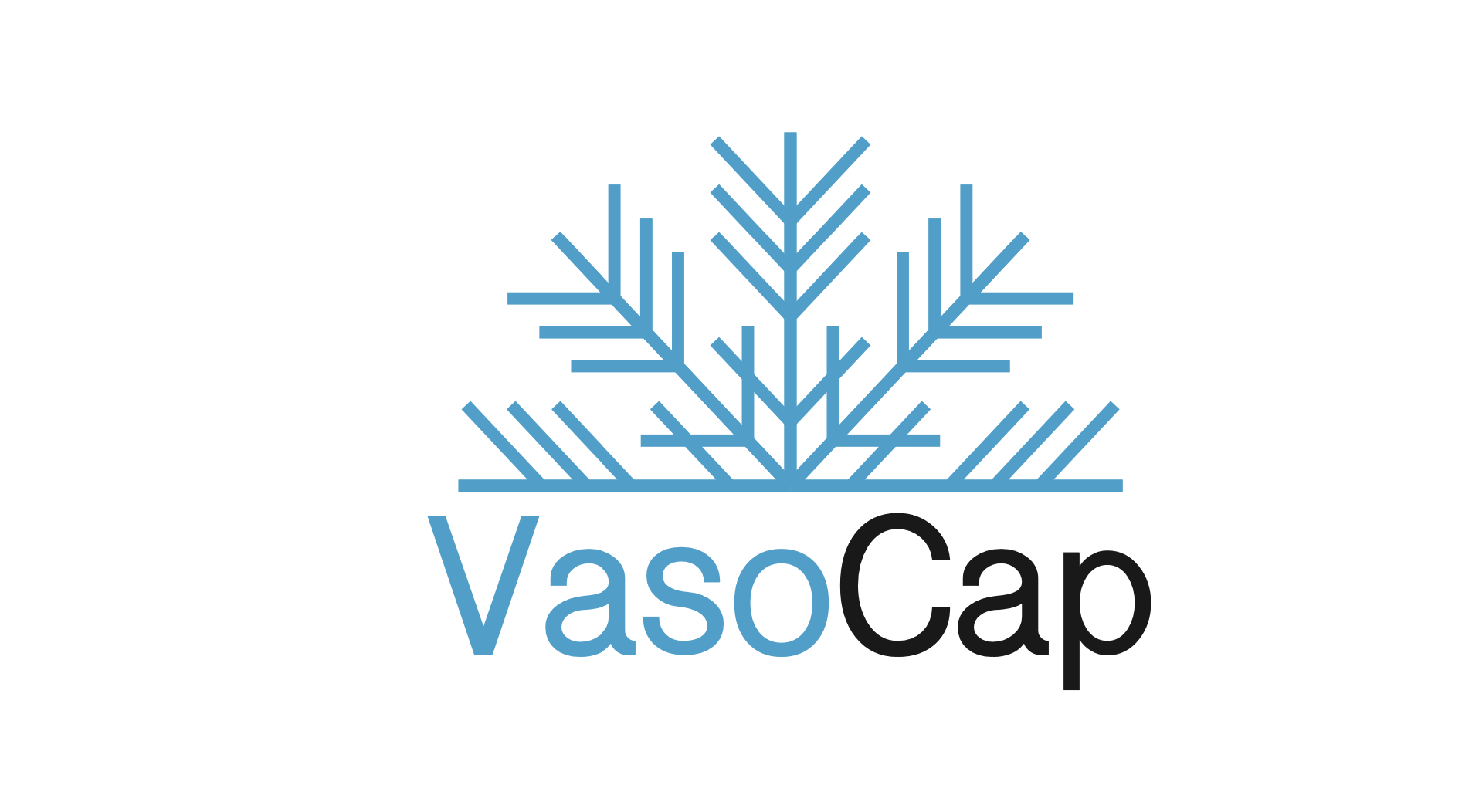 VasoCap Picture
